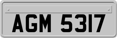 AGM5317