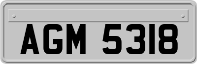 AGM5318