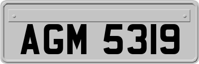 AGM5319