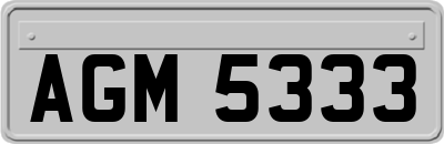 AGM5333