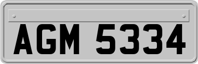 AGM5334