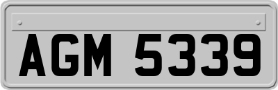 AGM5339