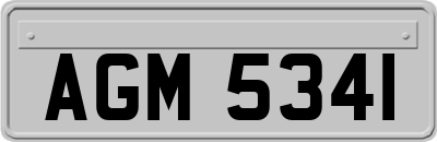 AGM5341