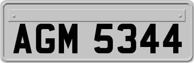 AGM5344
