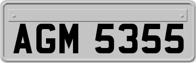 AGM5355