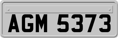 AGM5373