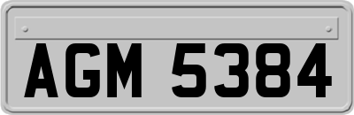 AGM5384
