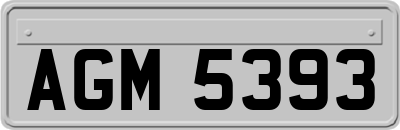 AGM5393