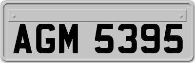 AGM5395