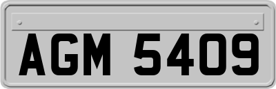 AGM5409