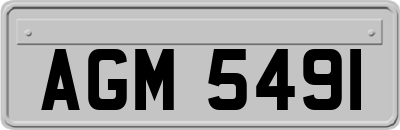 AGM5491