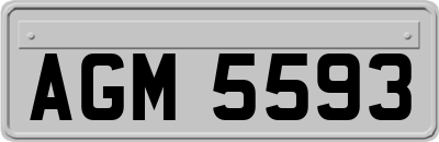 AGM5593