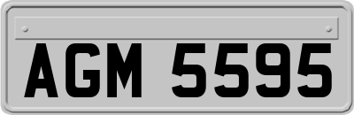 AGM5595
