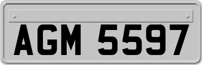 AGM5597