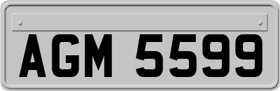 AGM5599