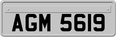 AGM5619