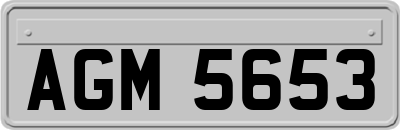 AGM5653