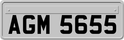 AGM5655