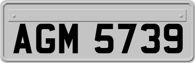 AGM5739