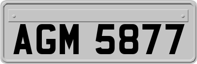 AGM5877