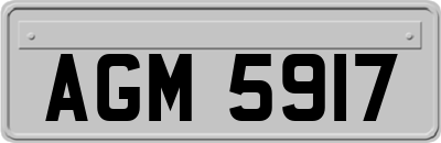 AGM5917