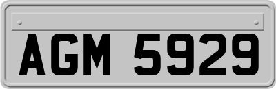 AGM5929