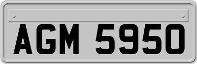 AGM5950