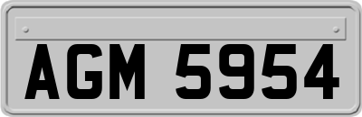 AGM5954