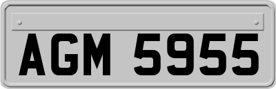 AGM5955