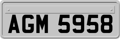 AGM5958