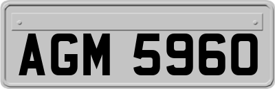 AGM5960