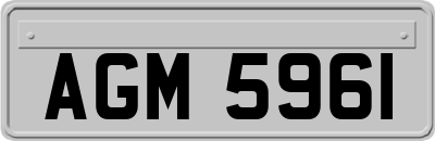AGM5961
