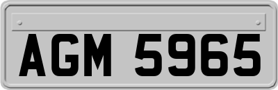 AGM5965