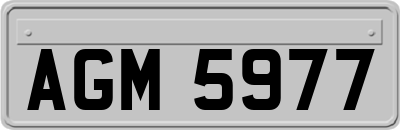 AGM5977