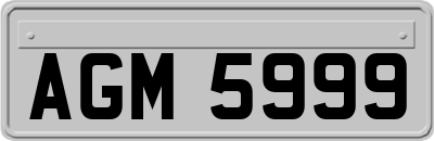 AGM5999