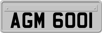AGM6001