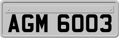 AGM6003