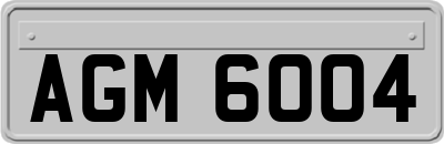 AGM6004