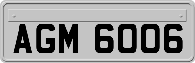 AGM6006