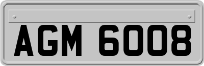 AGM6008