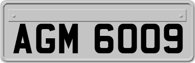 AGM6009