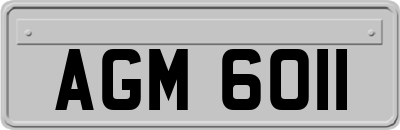 AGM6011