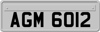 AGM6012