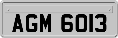 AGM6013