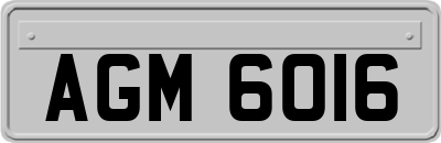 AGM6016