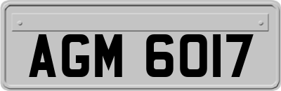 AGM6017