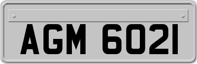 AGM6021