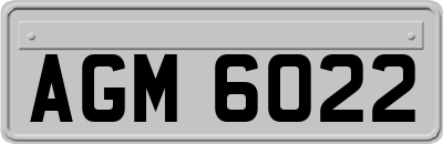 AGM6022