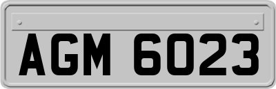 AGM6023