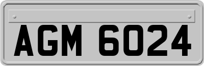 AGM6024